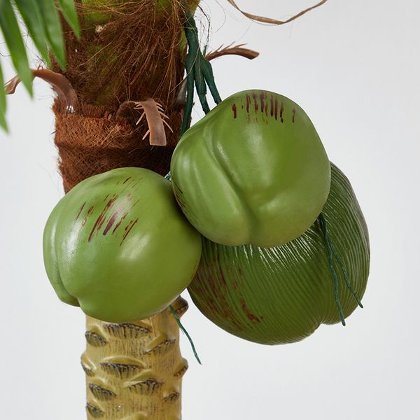 Cây dừa nhiệt đới giả trang trí