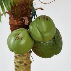 Cây dừa nhiệt đới giả trang trí