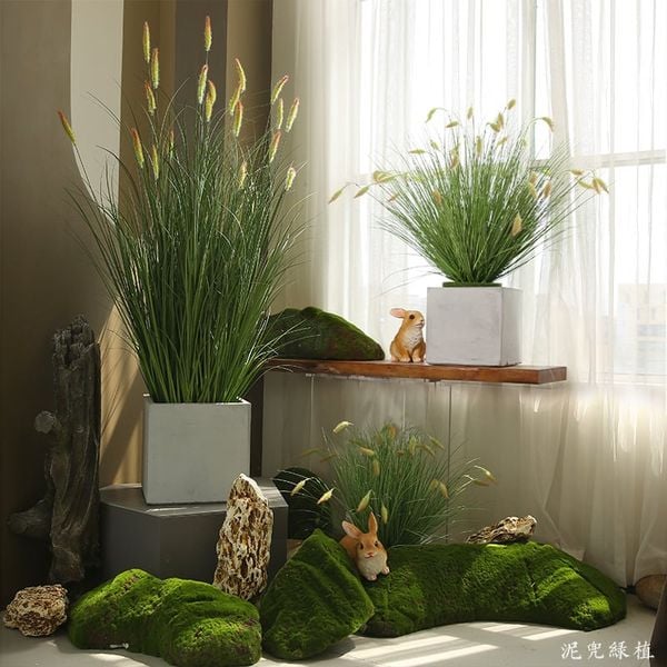 Cỏ lau đuôi chồn giả trang trí