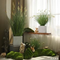 Cỏ lau đuôi chồn giả trang trí