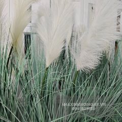 Hộp cây cỏ bông lau giả trang trí