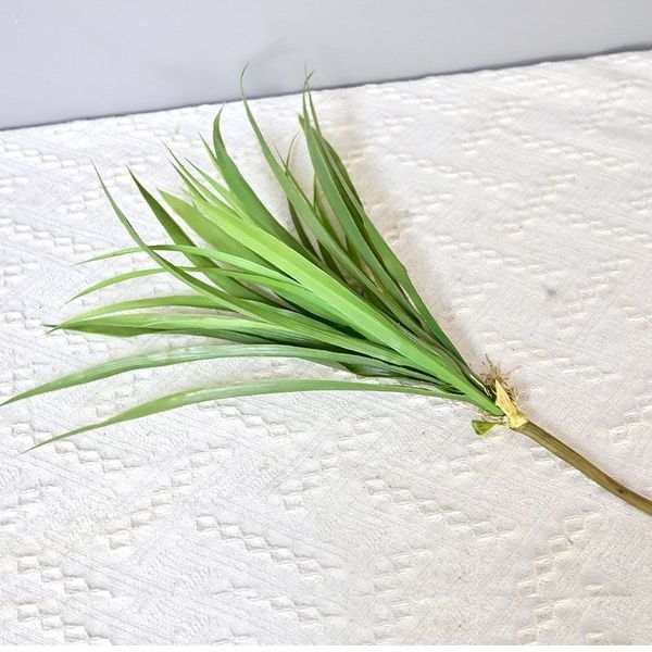 Bụi cỏ lan thảo giả trang trí