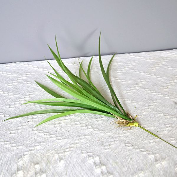 Bụi cỏ lan thảo giả trang trí