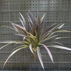 Bụi cỏ lan thảo giả trang trí