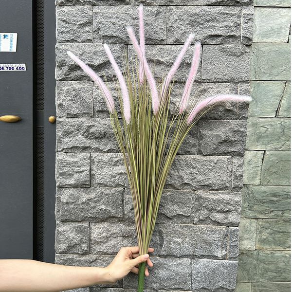 Cỏ lau đuôi chồn giả trang trí