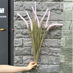 Cỏ lau đuôi chồn giả trang trí