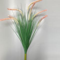 Cỏ lau đuôi chồn giả trang trí