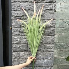Cỏ lau đuôi chồn giả trang trí