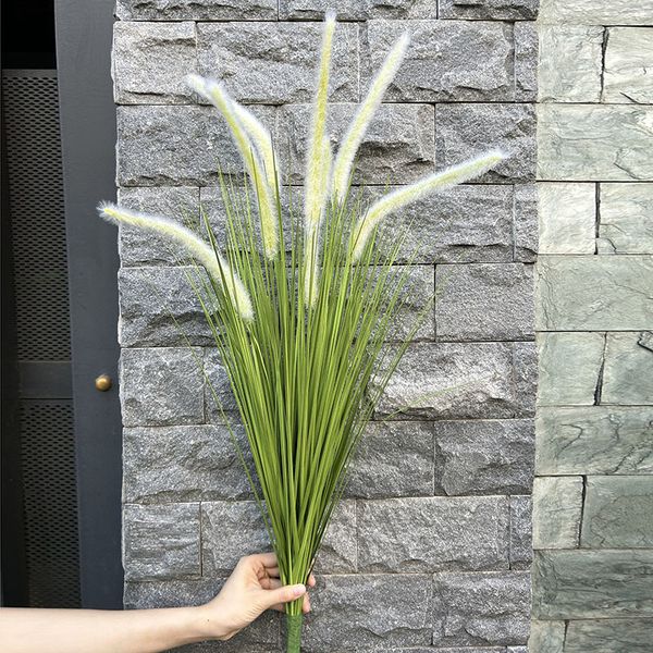 Cỏ lau đuôi chồn giả trang trí