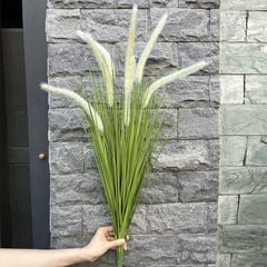 Cỏ lau đuôi chồn giả trang trí