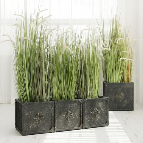 Cỏ lau đuôi chồn giả trang trí