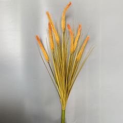 Cỏ lau đuôi chồn giả trang trí