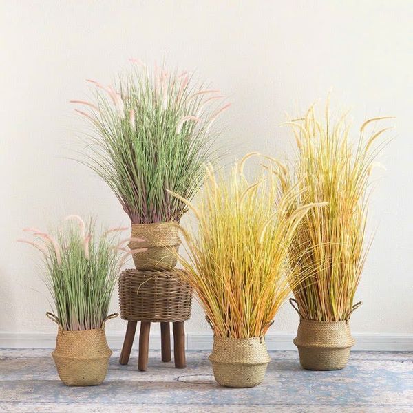 Cỏ lau đuôi chồn giả trang trí