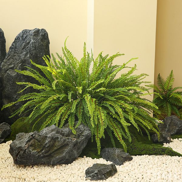 Bụi lá dương xỉ lá me giả cao cấp