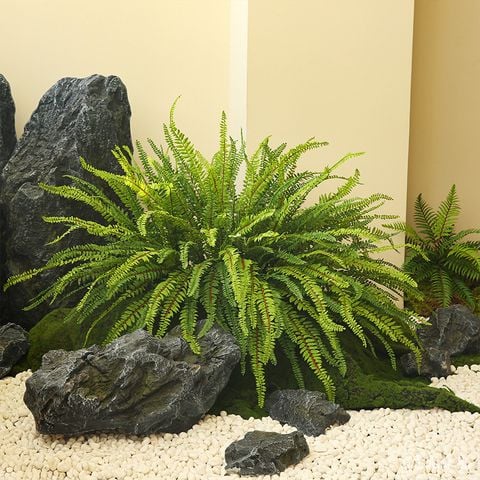 cụm dương xỉ giả trang trí