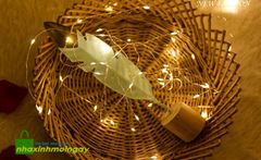 Dây đèn led đom đóm Fairy Light trang trí