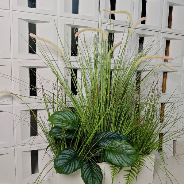 Chậu cây cỏ lau đuôi chồn giả trang trí dài 50 cm