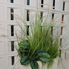 Chậu cây cỏ lau đuôi chồn giả trang trí dài 50 cm