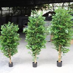 Cây si giả trang trí