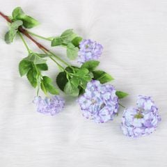 Hoa tú cầu baby 4 bông