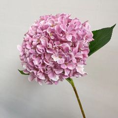 Hoa tú cầu lá to giả trang trí