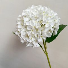 Hoa tú cầu lá to giả trang trí