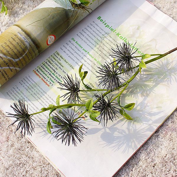 Hoa gai biển giả trang trí