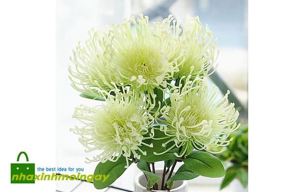 Hoa thảo đường san hô giả cao cấp