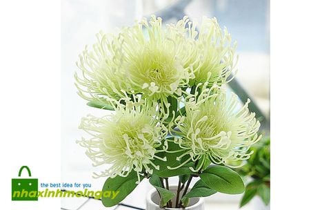 Hoa thảo đường san hô giả cao cấp