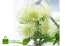 Hoa thảo đường san hô giả cao cấp