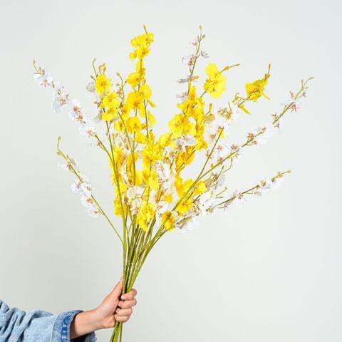 hoa lan vũ nữ giả