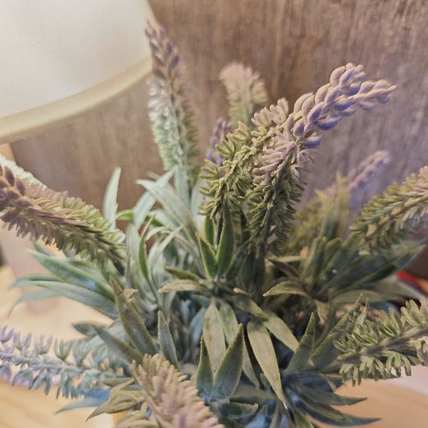 Chậu hoa lavender nhỏ để bàn
