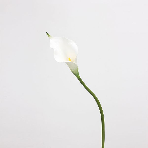 Hoa loa kèn Arum giả trang trí