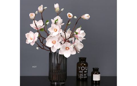 hoa-moc-lan-gia-trang-tri