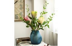 Hoa thảo đường hoàng đế cao cấp