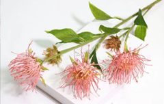 Hoa thảo đường san hô giả 02 cao cấp