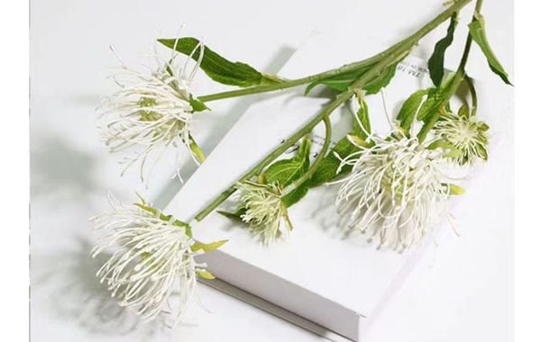 Hoa thảo đường san hô giả 02 cao cấp