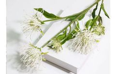 Hoa thảo đường san hô giả 02 cao cấp