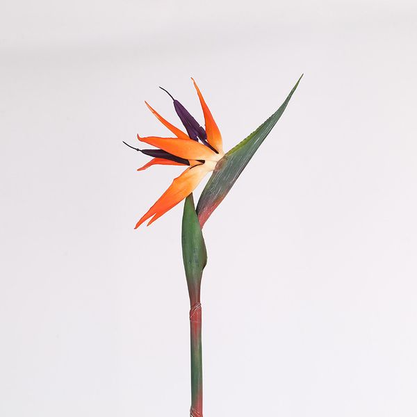 Hoa thiên điểu giả