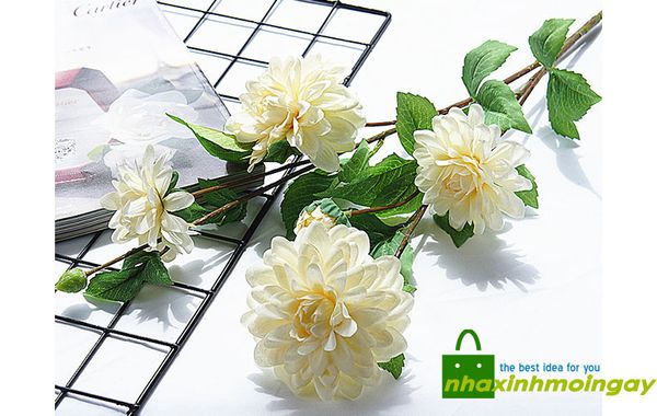 Hoa thược dược vải cành dài