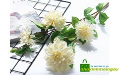 Hoa thược dược vải cành dài