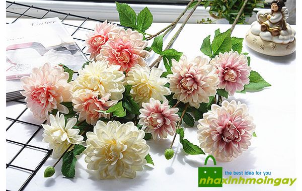 Hoa thược dược vải cành dài