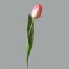 Hoa tulip giả cao cấp NX23