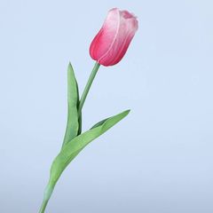 Hoa tulip giả trang trí