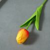 Hoa tulip mini PU
