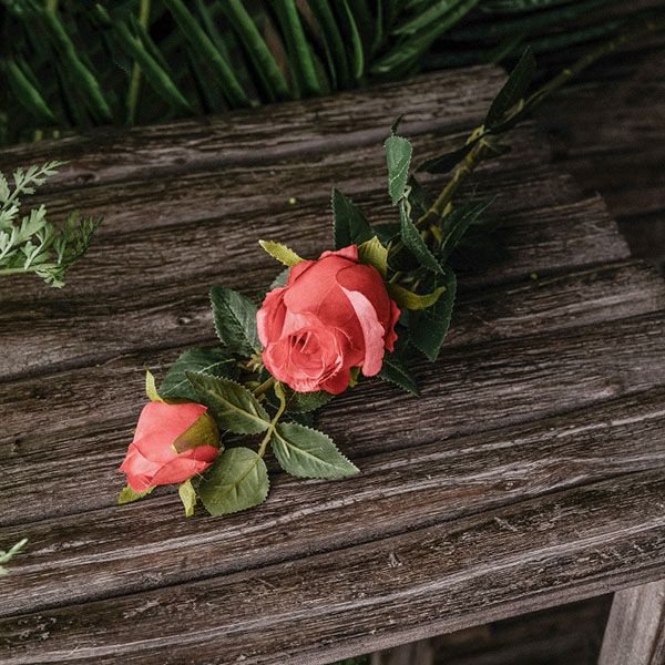 Hoa hồng Bulgaria vải cao cấp