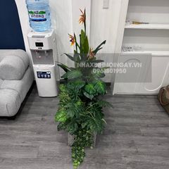 Hộp cây giả trang trí văn phòng TC004
