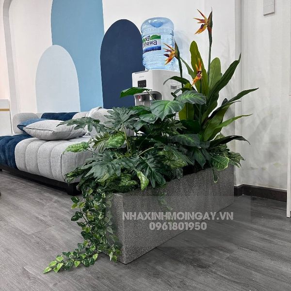 Hộp cây giả trang trí văn phòng TC004
