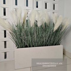 Hộp cây cỏ bông lau giả trang trí