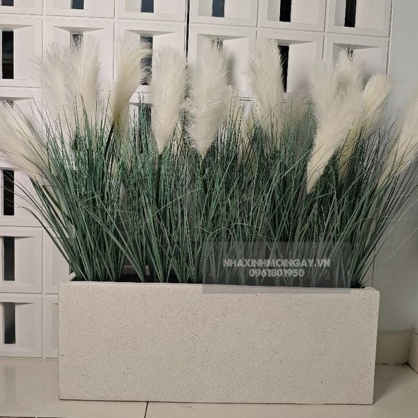 Hộp cây cỏ bông lau giả trang trí